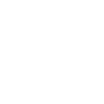 icon-artist-white