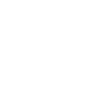 icon-bag-white