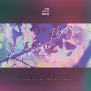 Dan Deagh Wealcan - Fragmented Consciousness